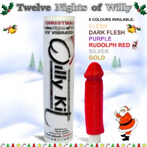 CHRISTMAS Twelve Nights of Willy DIY VIBRATOR Sex Toy